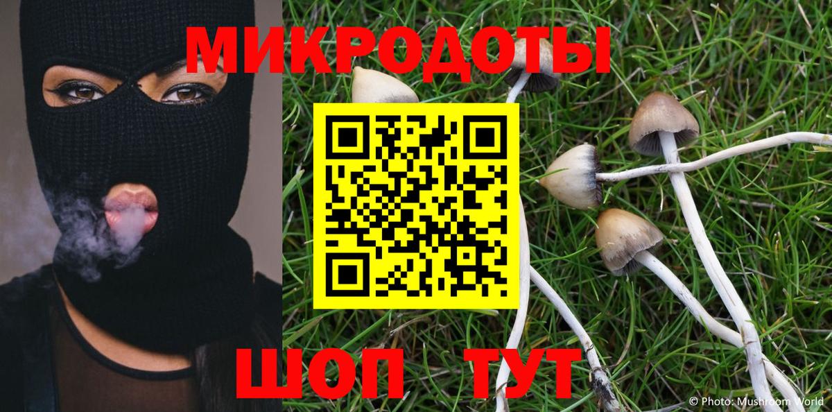 Ярцево  Галлюциногенные грибы Psilocybine cubensis  Псилоцибиновые грибы прущие грибы  Вход с VPN 