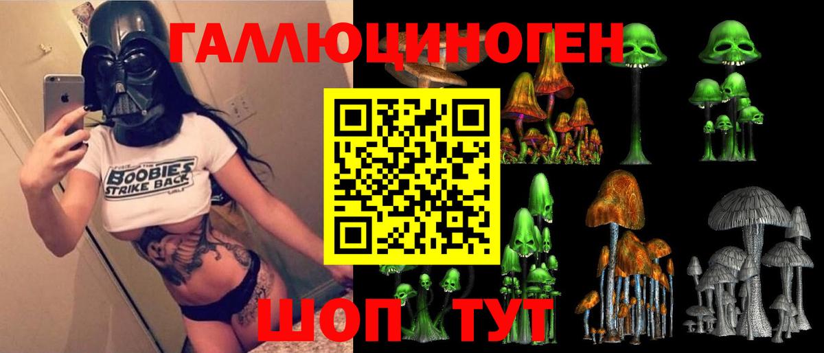 Псилоцибиновые грибы Psilocybe Ярцево