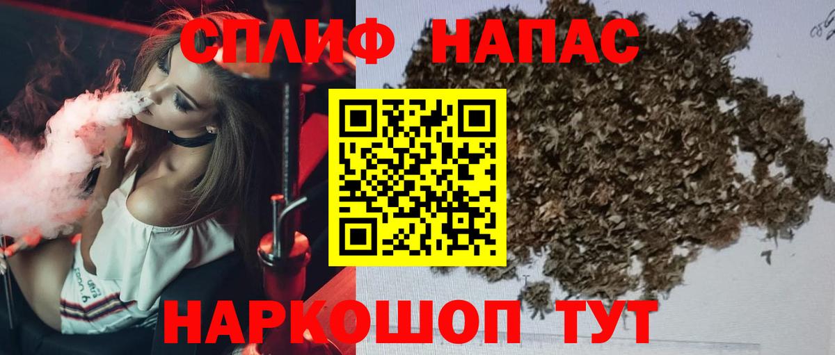 Бошки Шишки планчик Ярцево